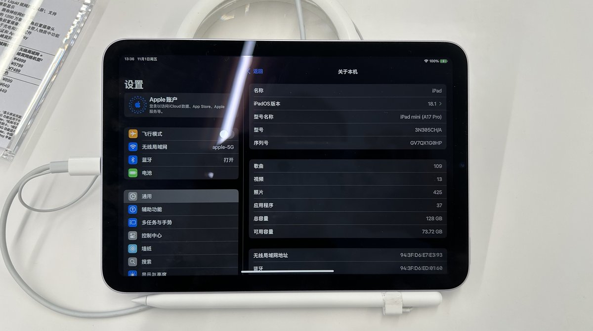 An iPad mini with a white stylus and cable beside it, its screen showing Settings